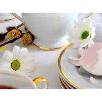 Serwis do kawy dla 6 osób / 22 części dek: G067 Złota Wstęga ASTRA