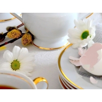 Serwis do herbaty dla 6 osób / 23 części dek: G067 Złota Wstęga ASTRA